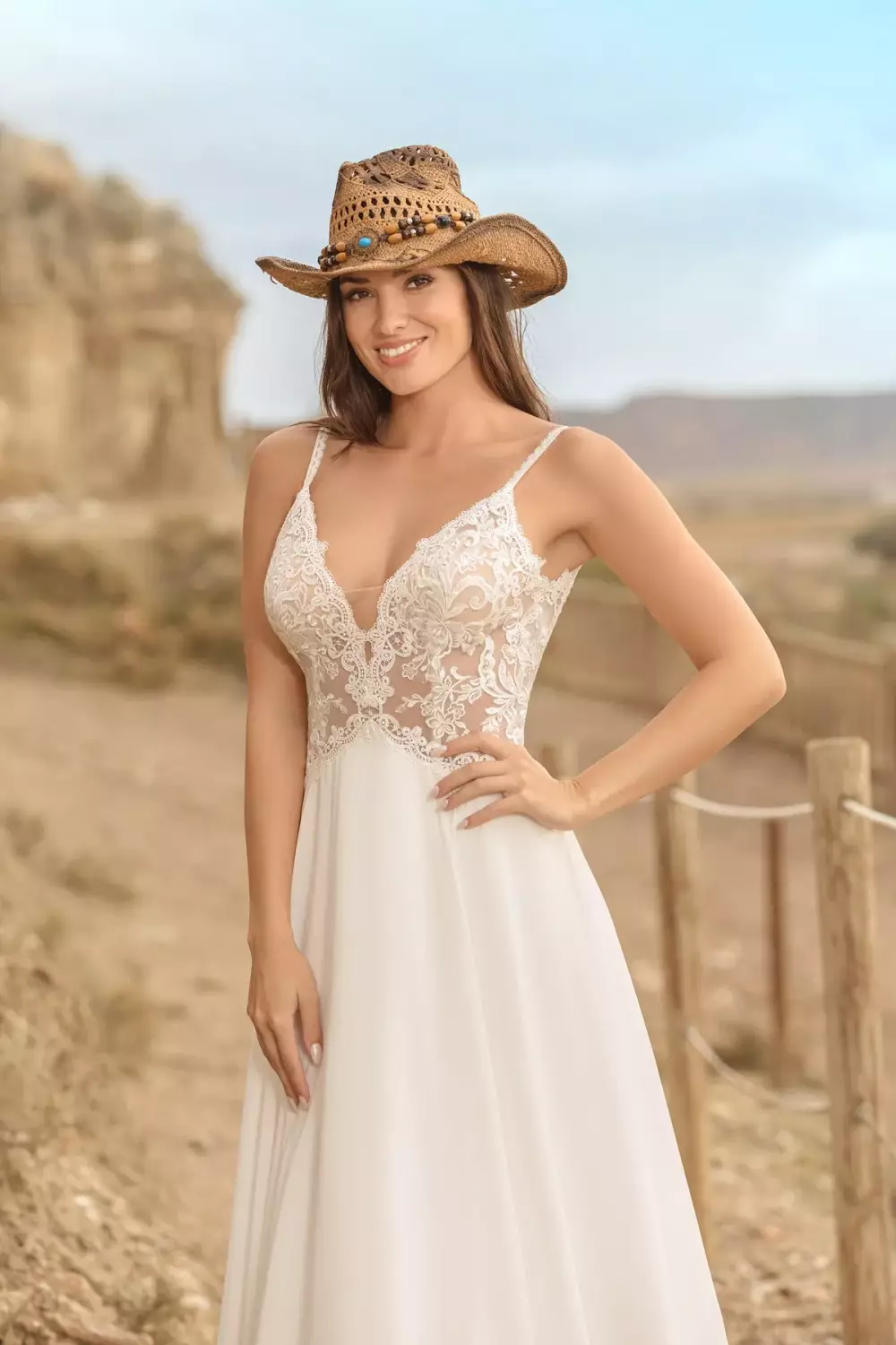 BM25-35D P